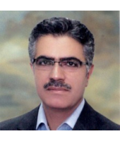 Prof. Abbas Zarei Hanzaki