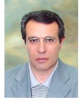Prof. Ali Mohammad Hadian
