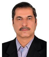 Prof. Saeed Shabestari