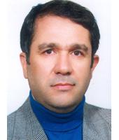 Prof. Reza Mahmudi