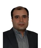 Prof. Saeed Sheibani