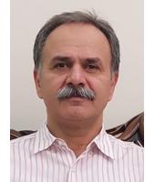 Prof. Ramin Ebrahimi